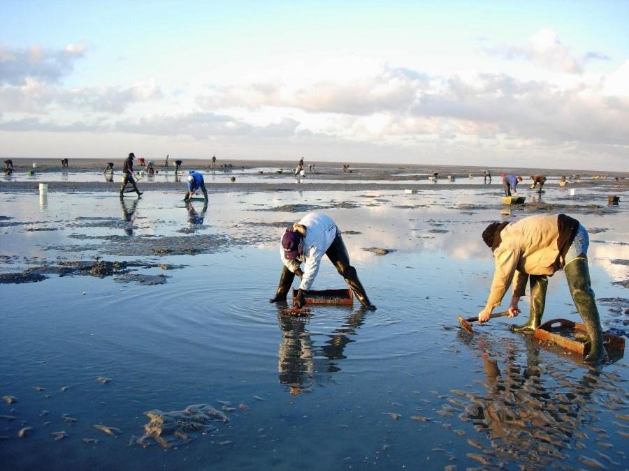Ferienhaus Le De Martine En Baie De Somme *