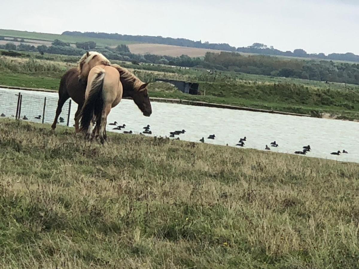 Ferienhaus Le De Martine En Baie De Somme Lancheres