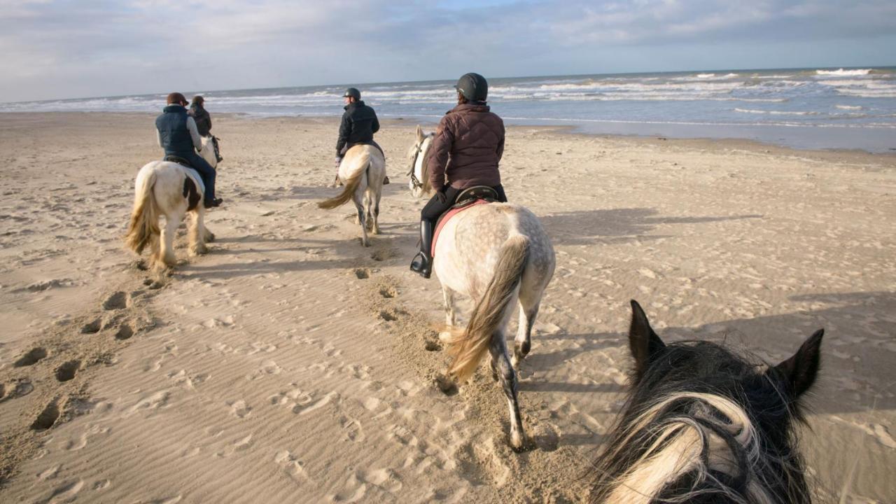 Le De Martine En Baie De Somme * Lancheres